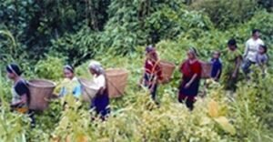 জুম চাষে গমনরত চাকমা নারী